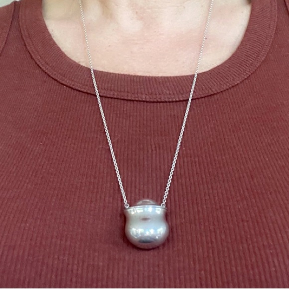 Elsa Peretti for Tiffany Sterling Inro Bottle Necklace - Picture 6 of 7